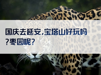 国庆去延安，宝塔山好玩吗？枣园呢？