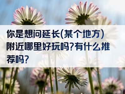 你是想问延长（某个地方）附近哪里好玩吗？有什么推荐吗？