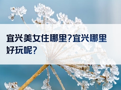 宜兴美女住哪里？宜兴哪里好玩呢？