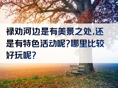 禄劝河边是有美景之处，还是有特色活动呢？哪里比较好玩呢？