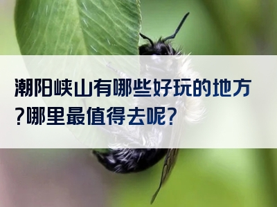 潮阳峡山有哪些好玩的地方？哪里最值得去呢？