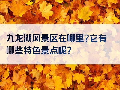 九龙湖风景区在哪里？它有哪些特色景点呢？