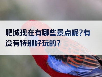 肥城现在有哪些景点呢？有没有特别好玩的？