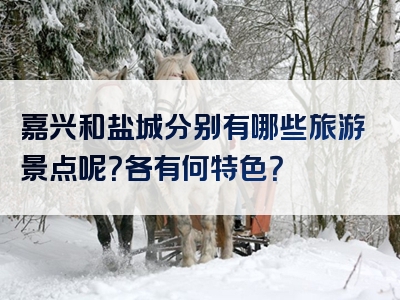 嘉兴和盐城分别有哪些旅游景点呢？各有何特色？