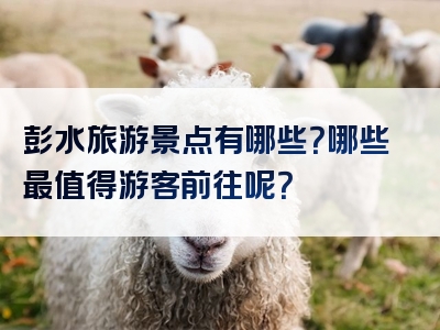 彭水旅游景点有哪些？哪些最值得游客前往呢？