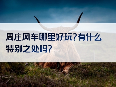 周庄风车哪里好玩？有什么特别之处吗？