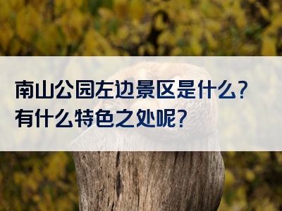 南山公园左边景区是什么？有什么特色之处呢？