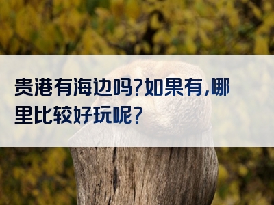 贵港有海边吗？如果有，哪里比较好玩呢？