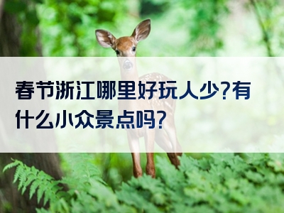春节浙江哪里好玩人少？有什么小众景点吗？