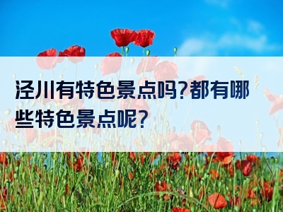 泾川有特色景点吗？都有哪些特色景点呢？