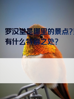 罗汉堂是哪里的景点？里面有什么特别之处？