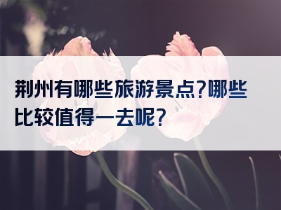 荆州有哪些旅游景点？哪些比较值得一去呢？