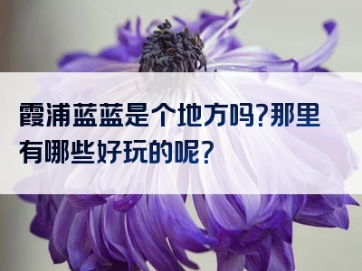 霞浦蓝蓝是个地方吗？那里有哪些好玩的呢？