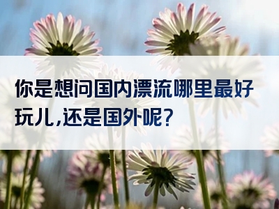 你是想问国内漂流哪里最好玩儿，还是国外呢？