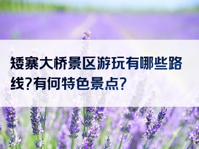 矮寨大桥景区游玩有哪些路线？有何特色景点？