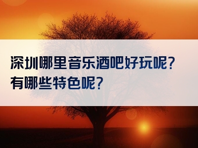 深圳哪里音乐酒吧好玩呢？有哪些特色呢？