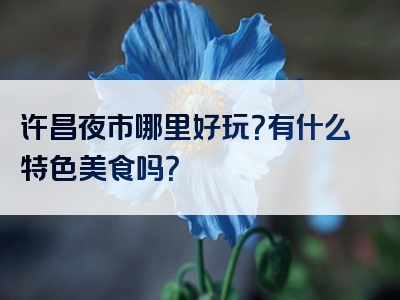 许昌夜市哪里好玩？有什么特色美食吗？