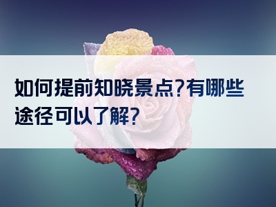 如何提前知晓景点？有哪些途径可以了解？