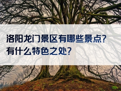 洛阳龙门景区有哪些景点？有什么特色之处？