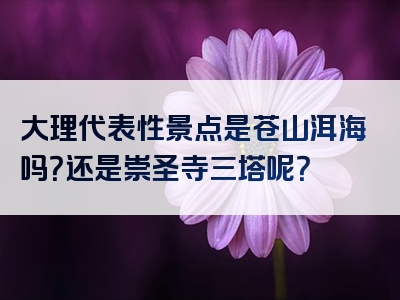 大理代表性景点是苍山洱海吗？还是崇圣寺三塔呢？