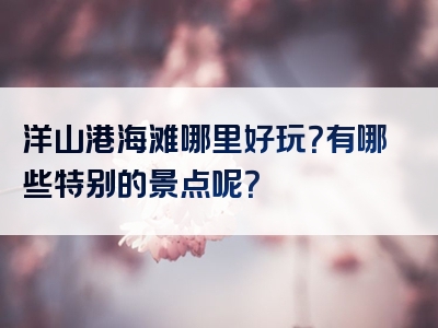 洋山港海滩哪里好玩？有哪些特别的景点呢？