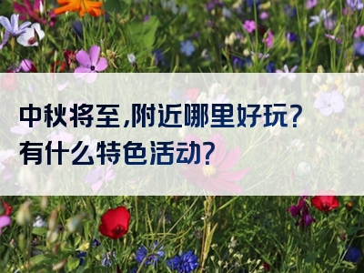 中秋将至，附近哪里好玩？有什么特色活动？