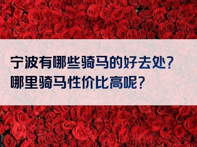 宁波有哪些骑马的好去处？哪里骑马性价比高呢？