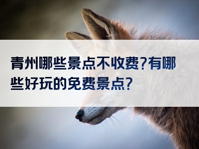 青州哪些景点不收费？有哪些好玩的免费景点？