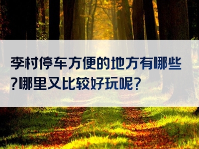 李村停车方便的地方有哪些？哪里又比较好玩呢？