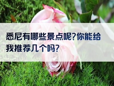 悉尼有哪些景点呢？你能给我推荐几个吗？