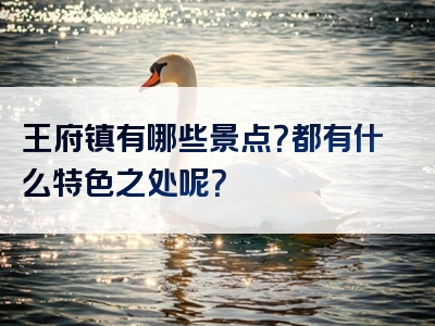 王府镇有哪些景点？都有什么特色之处呢？