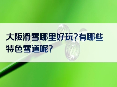 大阪滑雪哪里好玩？有哪些特色雪道呢？