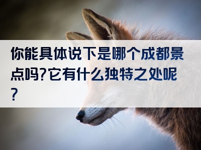你能具体说下是哪个成都景点吗？它有什么独特之处呢？