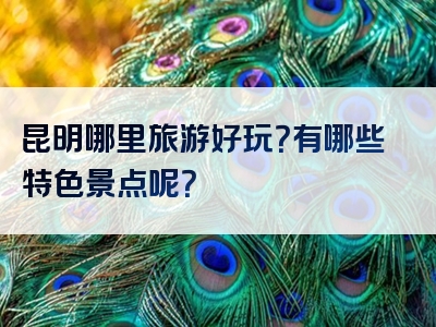 昆明哪里旅游好玩？有哪些特色景点呢？