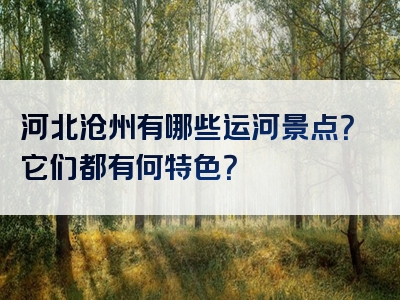 河北沧州有哪些运河景点？它们都有何特色？