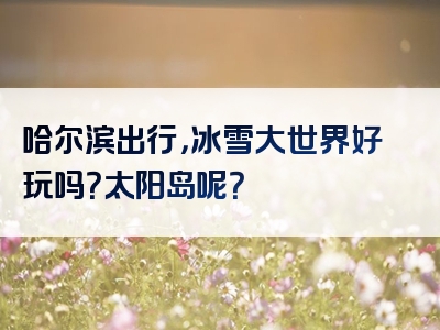 哈尔滨出行，冰雪大世界好玩吗？太阳岛呢？