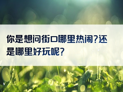 你是想问街口哪里热闹？还是哪里好玩呢？