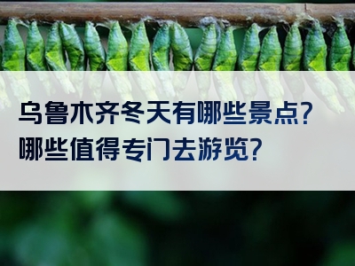 乌鲁木齐冬天有哪些景点？哪些值得专门去游览？
