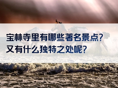 宝林寺里有哪些著名景点？又有什么独特之处呢？