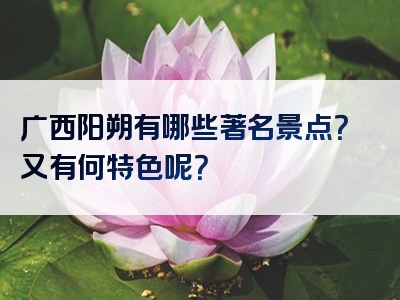 广西阳朔有哪些著名景点？又有何特色呢？