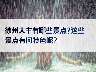 徐州大丰有哪些景点？这些景点有何特色呢？
