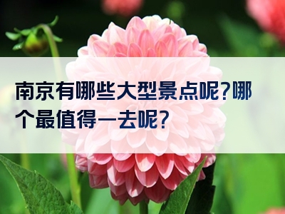 南京有哪些大型景点呢？哪个最值得一去呢？