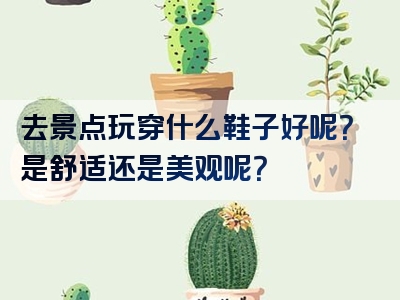 去景点玩穿什么鞋子好呢？是舒适还是美观呢？