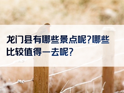 龙门县有哪些景点呢？哪些比较值得一去呢？