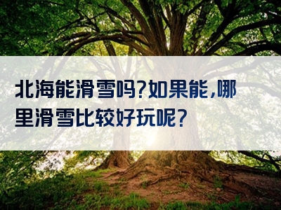 北海能滑雪吗？如果能，哪里滑雪比较好玩呢？