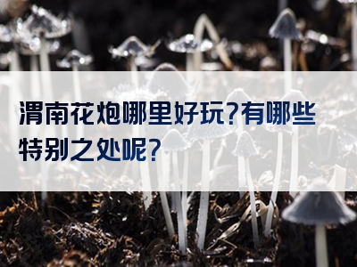 渭南花炮哪里好玩？有哪些特别之处呢？