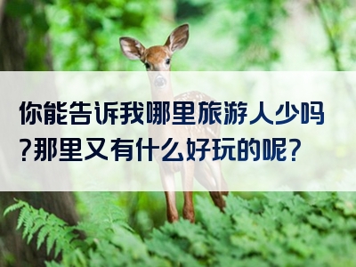 你能告诉我哪里旅游人少吗？那里又有什么好玩的呢？