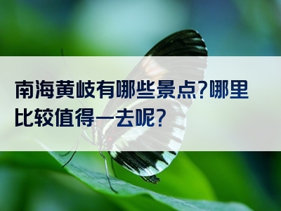 南海黄岐有哪些景点？哪里比较值得一去呢？