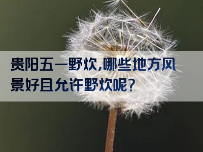 贵阳五一野炊，哪些地方风景好且允许野炊呢？