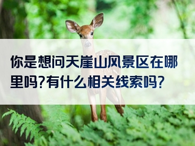 你是想问天崖山风景区在哪里吗？有什么相关线索吗？